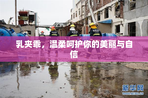 乳夹乖，温柔呵护你的美丽与自信