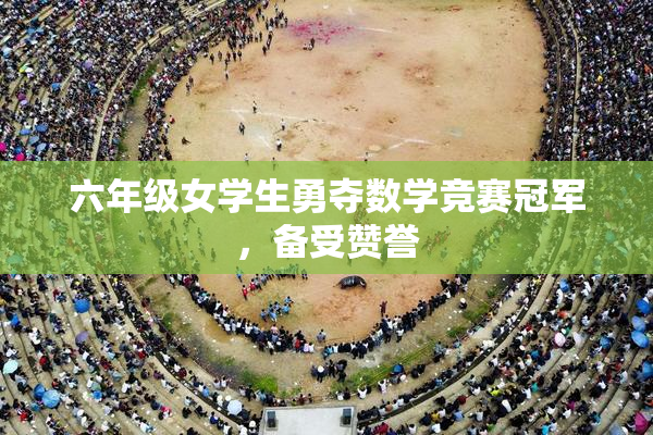 六年级女学生勇夺数学竞赛冠军，备受赞誉