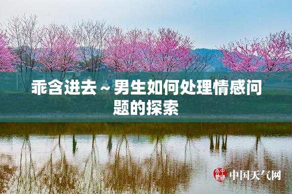 乖含进去～男生如何处理情感问题的探索