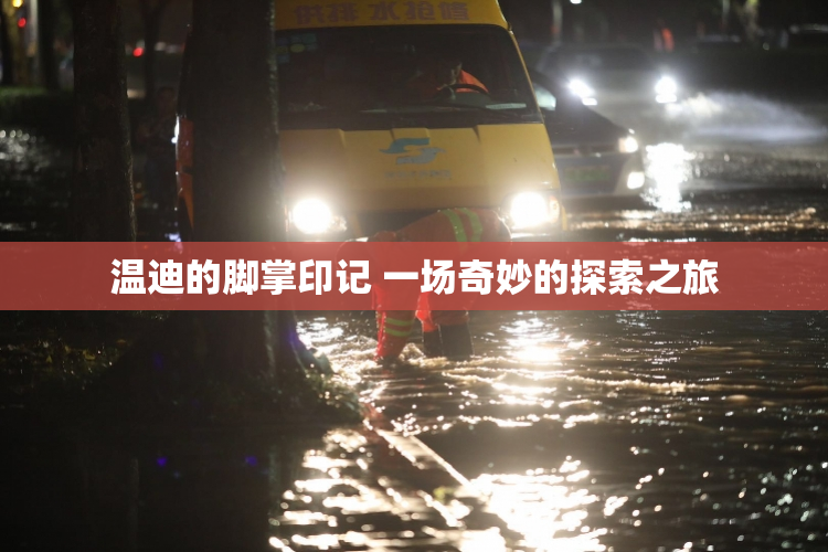 温迪的脚掌印记 一场奇妙的探索之旅