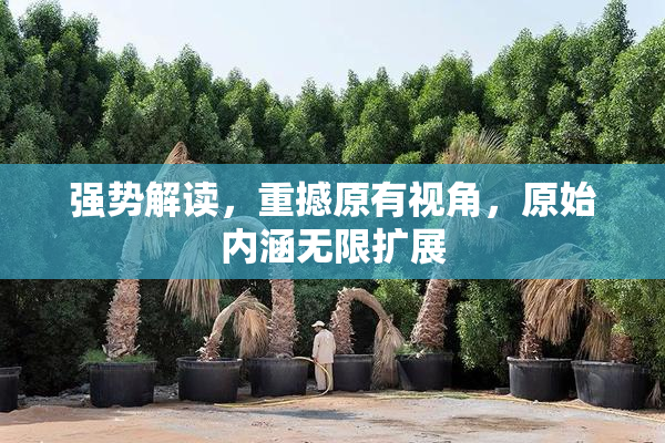 强势解读，重撼原有视角，原始内涵无限扩展