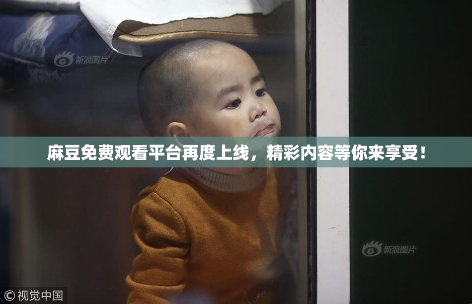 麻豆免费观看平台再度上线，精彩内容等你来享受！