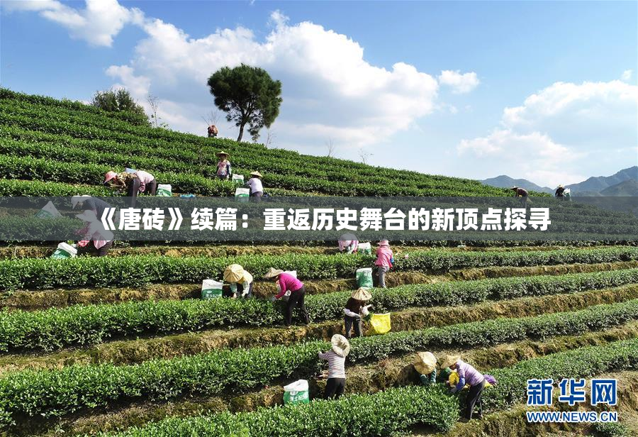 《唐砖》续篇：重返历史舞台的新顶点探寻