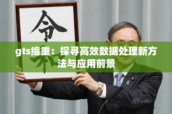 gts缩重：探寻高效数据处理新方法与应用前景