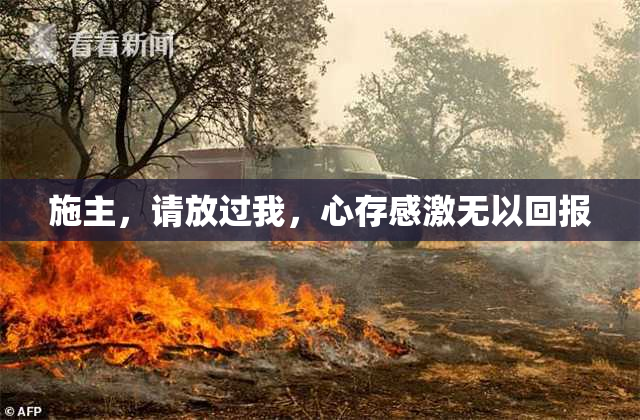 施主，请放过我，心存感激无以回报