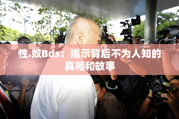 性.奴Bds：揭示背后不为人知的真相和故事