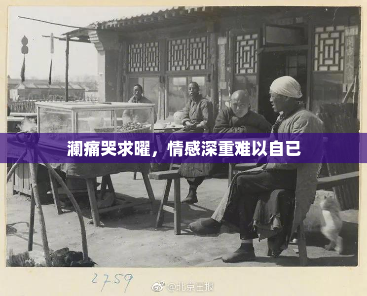 澜痛哭求曜，情感深重难以自已