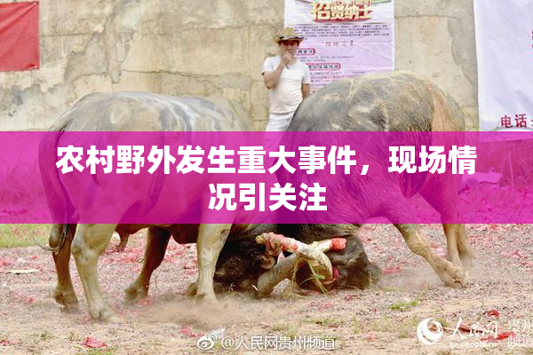 农村野外发生重大事件，现场情况引关注