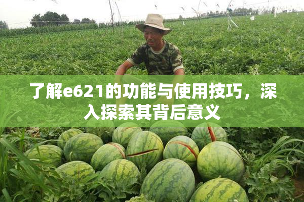 了解e621的功能与使用技巧，深入探索其背后意义