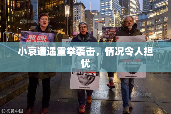 小哀遭遇重拳袭击，情况令人担忧