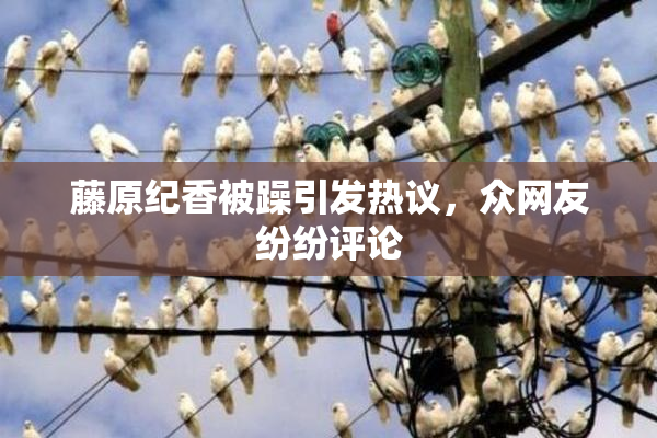 藤原纪香被躁引发热议，众网友纷纷评论