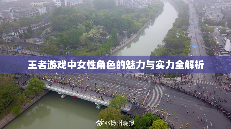 王者游戏中女性角色的魅力与实力全解析