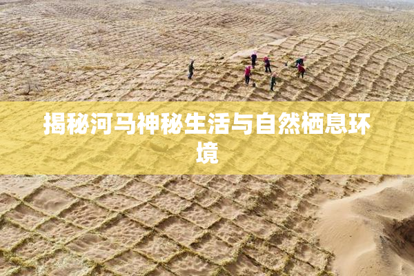 揭秘河马神秘生活与自然栖息环境
