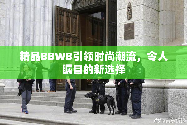 精品BBWB引领时尚潮流，令人瞩目的新选择