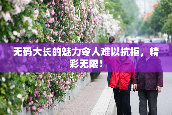 无码大长的魅力令人难以抗拒，精彩无限！