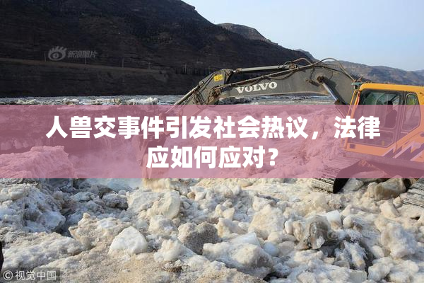 人兽交事件引发社会热议，法律应如何应对？