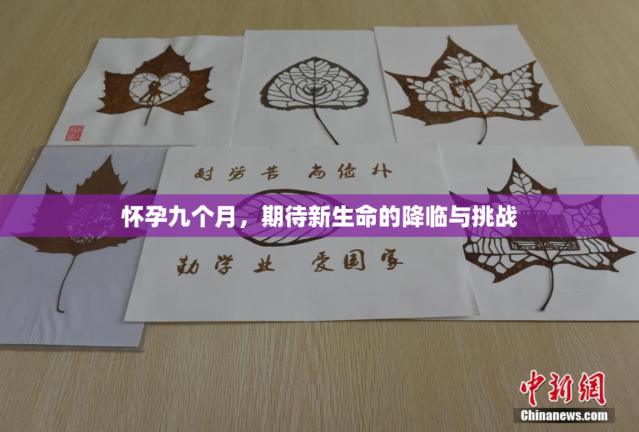 怀孕九个月，期待新生命的降临与挑战
