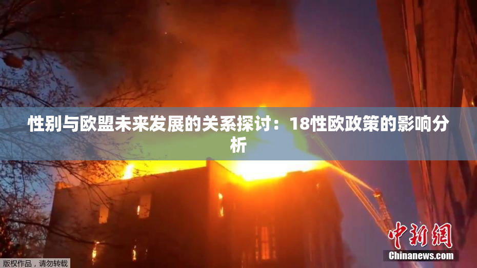 性别与欧盟未来发展的关系探讨：18性欧政策的影响分析