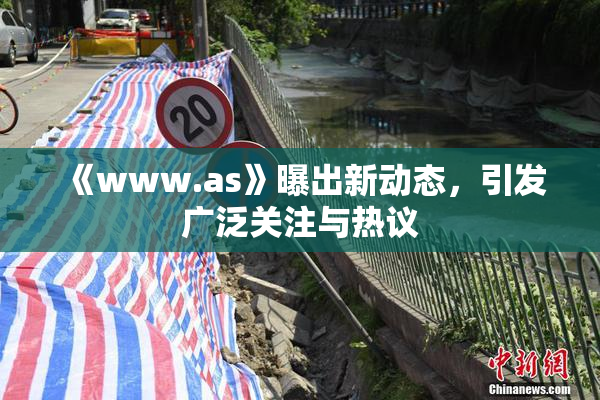 《www.as》曝出新动态，引发广泛关注与热议