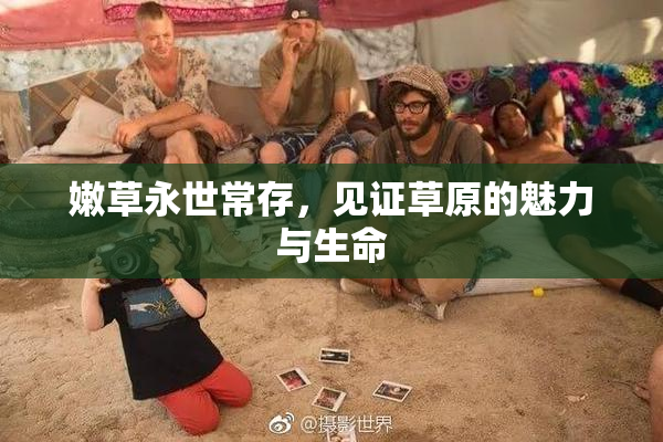 嫩草永世常存，见证草原的魅力与生命