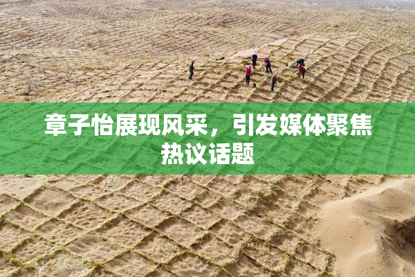 章子怡展现风采，引发媒体聚焦热议话题