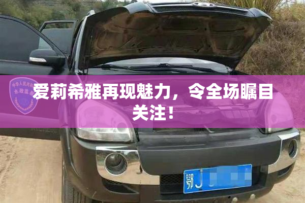 爱莉希雅再现魅力，令全场瞩目关注！