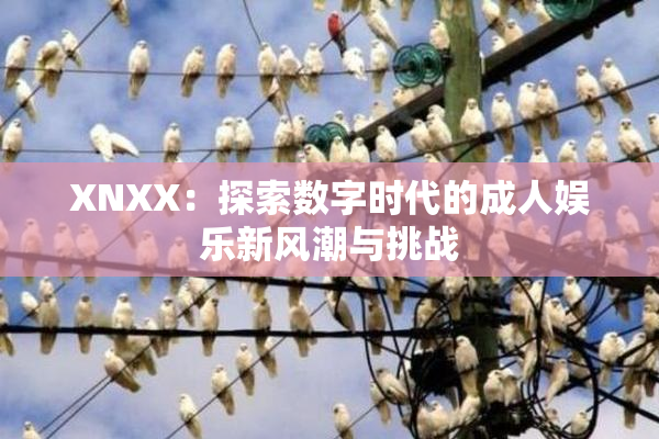 XNXX：探索数字时代的成人娱乐新风潮与挑战