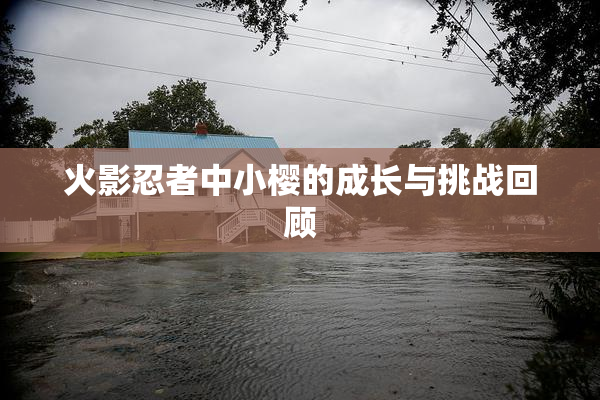 火影忍者中小樱的成长与挑战回顾