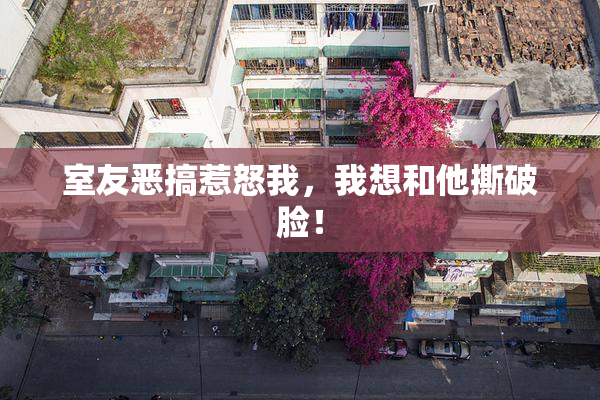 室友恶搞惹怒我，我想和他撕破脸！