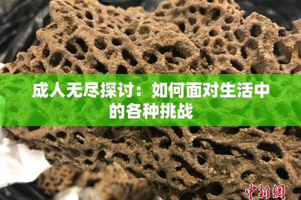 成人无尽探讨：如何面对生活中的各种挑战