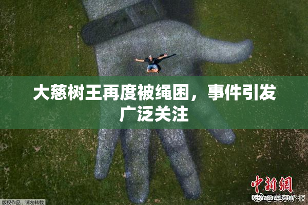 大慈树王再度被绳困，事件引发广泛关注