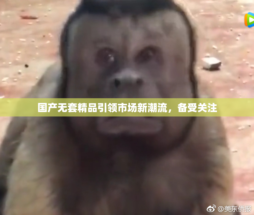 国产无套精品引领市场新潮流，备受关注