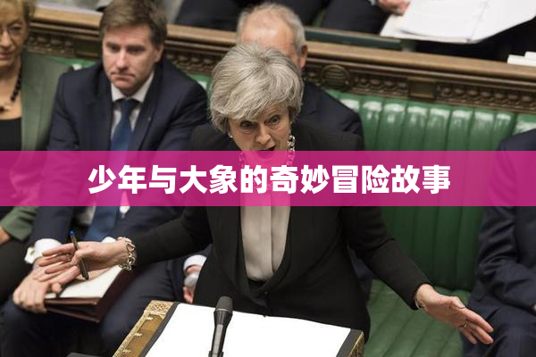 少年与大象的奇妙冒险故事