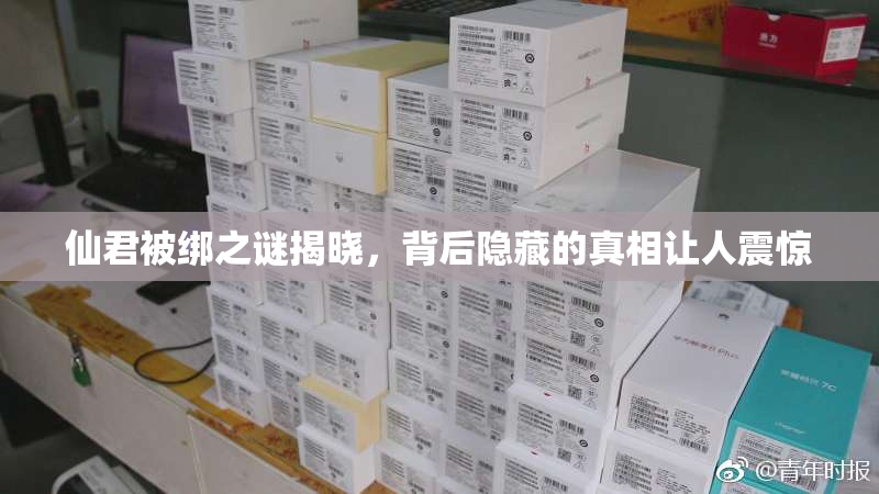 仙君被绑之谜揭晓，背后隐藏的真相让人震惊