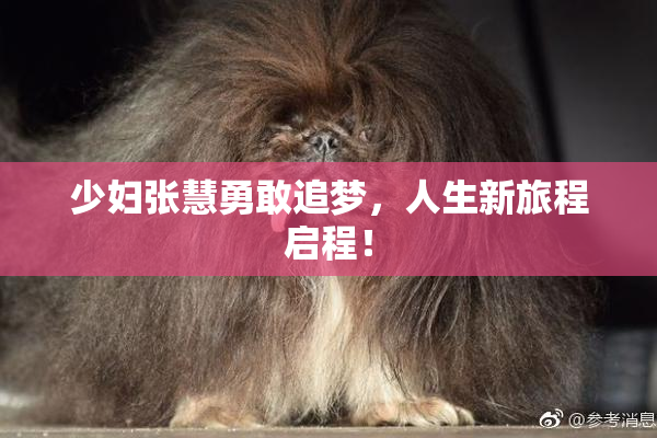 少妇张慧勇敢追梦，人生新旅程启程！