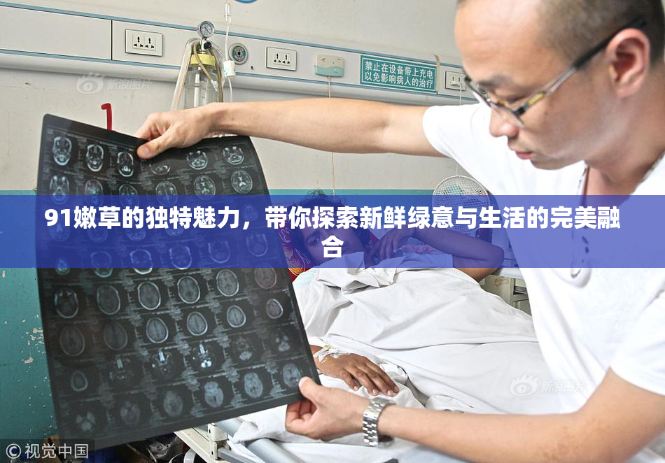 91嫩草的独特魅力，带你探索新鲜绿意与生活的完美融合