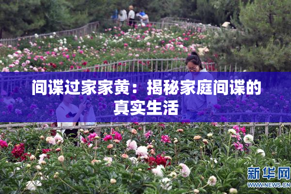 间谍过家家黄：揭秘家庭间谍的真实生活