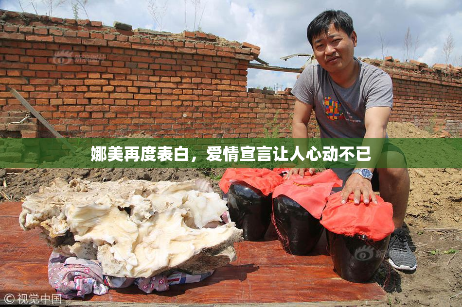 娜美再度表白，爱情宣言让人心动不已