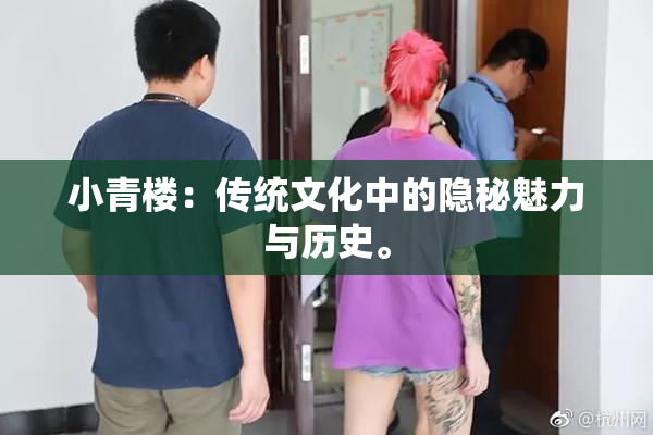 小青楼：传统文化中的隐秘魅力与历史。