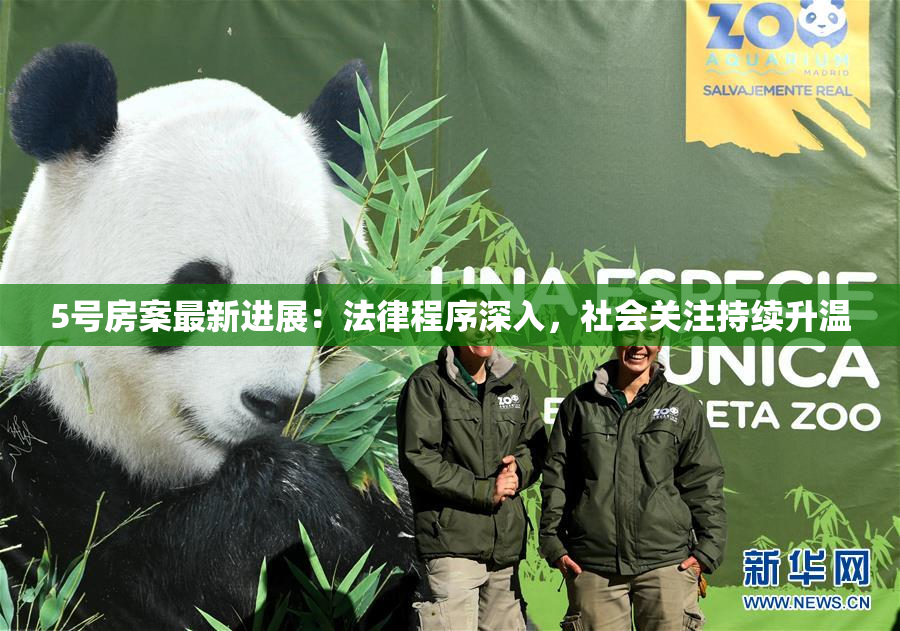 5号房案最新进展：法律程序深入，社会关注持续升温