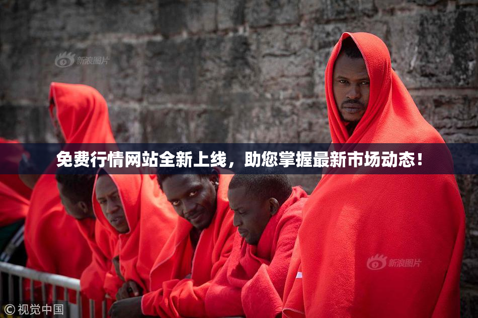 免费行情网站全新上线，助您掌握最新市场动态！