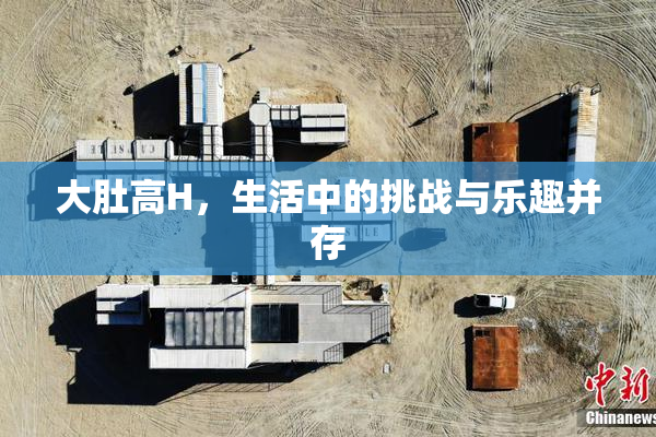 大肚高H，生活中的挑战与乐趣并存