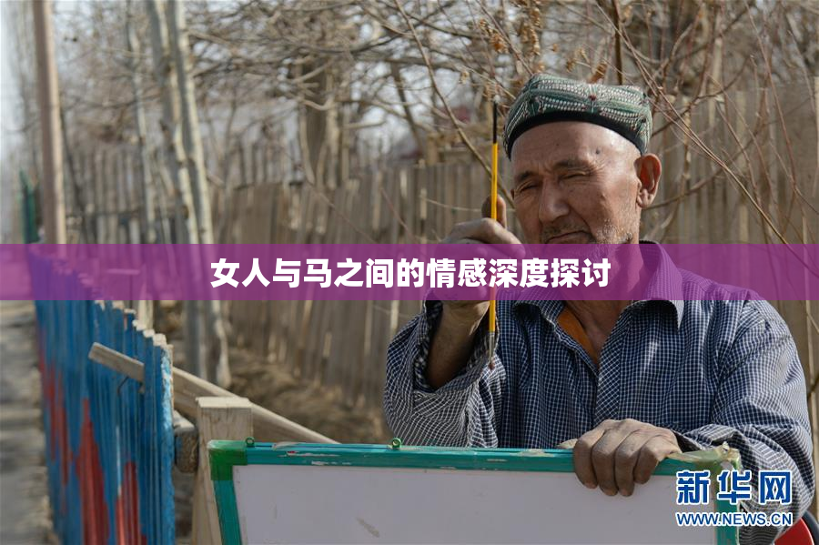 女人与马之间的情感深度探讨