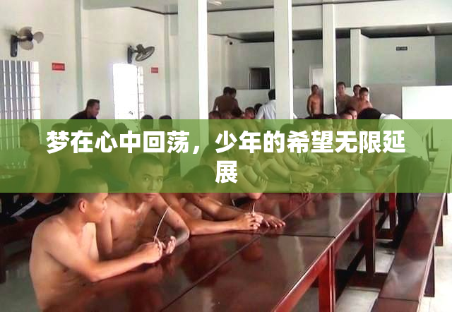 梦在心中回荡，少年的希望无限延展