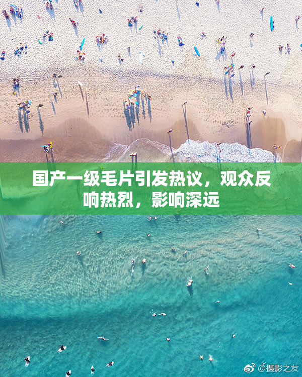 国产一级毛片引发热议，观众反响热烈，影响深远
