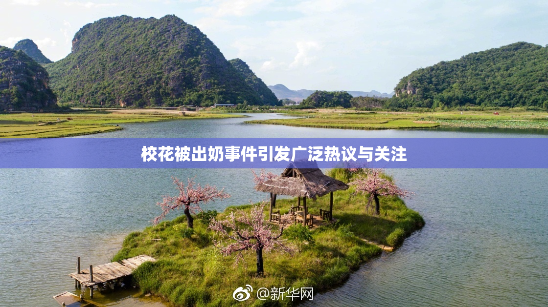 校花被出奶事件引发广泛热议与关注