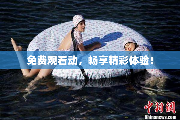 免费观看动，畅享精彩体验！