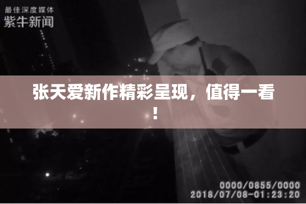 张天爱新作精彩呈现，值得一看！