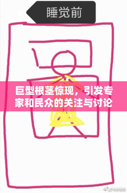 巨型根茎惊现，引发专家和民众的关注与讨论