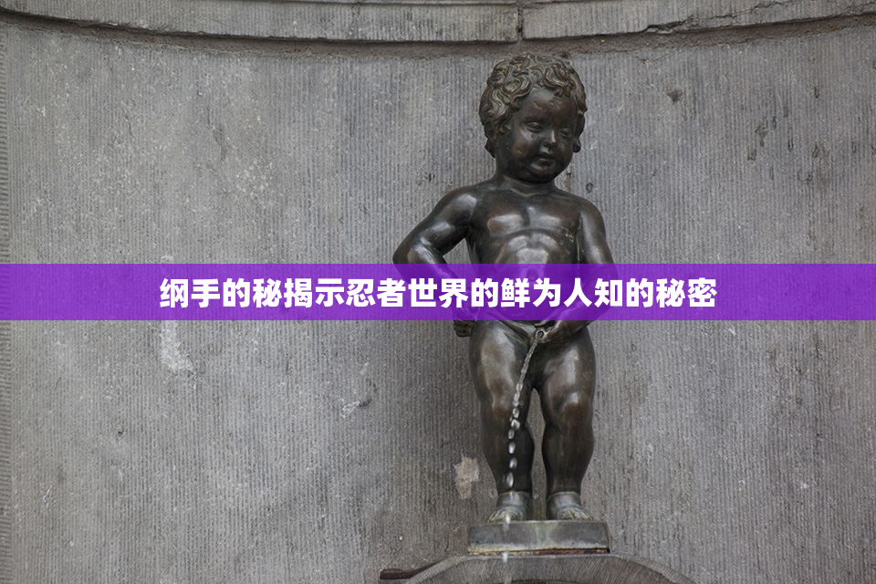 纲手的秘揭示忍者世界的鲜为人知的秘密